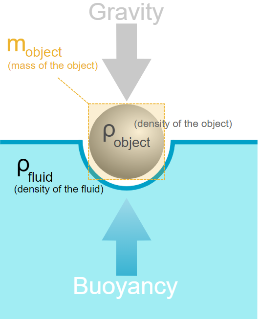 Buoyancy | Archimedes Principal | Examples & Its Calculation